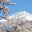 浜崎真鈴(まりん)のサムネイル