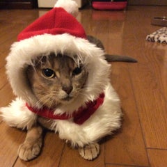 あきひとのプロフィール