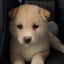 画像 momiji-0914のブログのユーザープロフィール画像