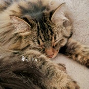 k-toのおすすめのサムネイル