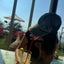 mai_0110 のサムネイル