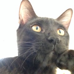 ruminのプロフィール