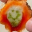 ざくろのサムネイル