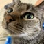 ひーこ（主婦ライター）のサムネイル