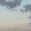 ぴょぴょんがぴのサムネイル