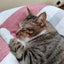 なっちのサムネイル