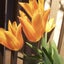 檬mowのサムネイル