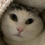 まつこのサムネイル
