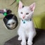 ラム君と母さんとまたにおとんのサムネイル