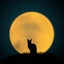 Moonのサムネイル