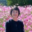 画像 雲の上はいつも晴れ♪のユーザープロフィール画像