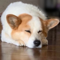 ヨシユタのプロフィール