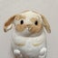 あずきのサムネイル