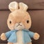 tontonのサムネイル