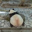 あいみのサムネイル