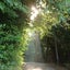 かづき’s Life Road Blog        ～アラカンからの一歩一歩のサムネイル