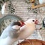 sakikoのサムネイル