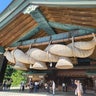 うみのプロフィール