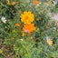 yaa083031のサムネイル