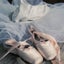 balletloveyukaのサムネイル