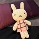縄文のおすすめのサムネイル