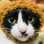 aomaru0210のサムネイル