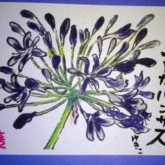 aoisakanatachi96のプロフィール