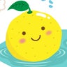きなこのプロフィール