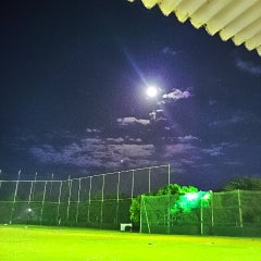 よしよしのプロフィール