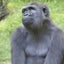 もういくつ寝ると離婚かなのサムネイル