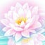 画像 lotus_gardenのユーザープロフィール画像