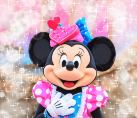 ⭐️希少デザイン❗ミッキー＆ミニー ポップコーンバケット✨コロナ期の激レア品 Disney - 新品 ディズニー限定品 パルパルーザ ミッキーミニー