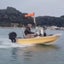 パワフル号のボート釣りのサムネイル