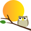 はちこのサムネイル