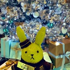 ともちのプロフィール