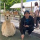 テラサキのおすすめのサムネイル