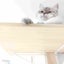 Necos.8（ねこはち）のサムネイル