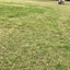datoyamanarcheryのサムネイル