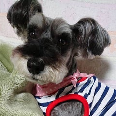 らっきーのプロフィール
