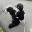 つぶあんのサムネイル
