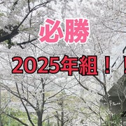 こまみつママのおすすめのサムネイル
