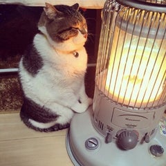 ひろ兄のプロフィール