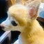 画像 チョコっとしあわせ…のユーザープロフィール画像