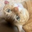 ミミのサムネイル