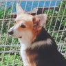 結衣のプロフィール
