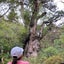 umeboosiのサムネイル