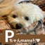 画像 ピーちゃんmamaの時に毒だしゆるふわblogのユーザープロフィール画像