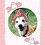 amiのサムネイル