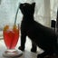 ねこのサムネイル