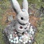 うさぎのサムネイル